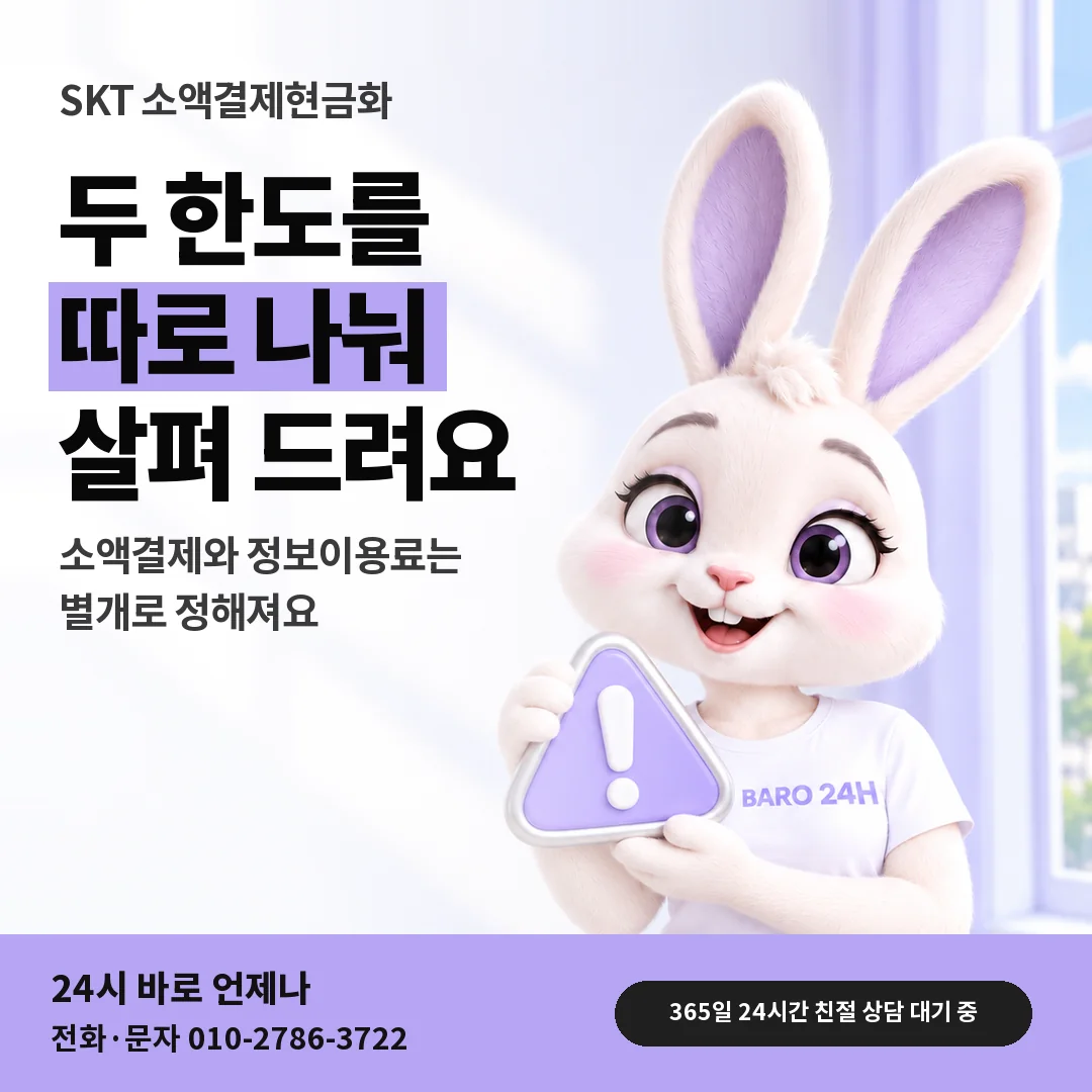 주의 표지판을 든 BARO 24H 티셔츠를 입은 3D 토끼 캐릭터 옆에 「SKT 두 한도 나눠 살피기」 제목을 얹은 안내 카드